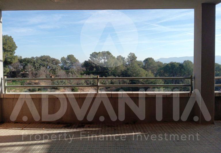 WhatsApp Image 2025-01-16 at 12.50.13 (2)