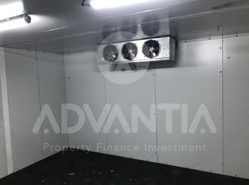 WhatsApp Image 2025-01-07 at 13.20.49 (1)