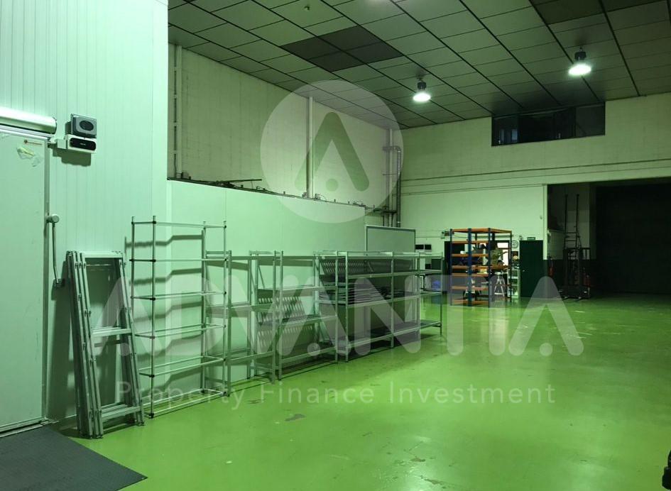 WhatsApp Image 2025-01-07 at 13.21.21 (2)