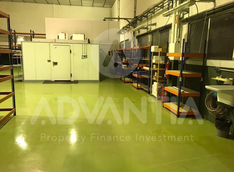 WhatsApp Image 2025-01-07 at 13.21.21 (6)