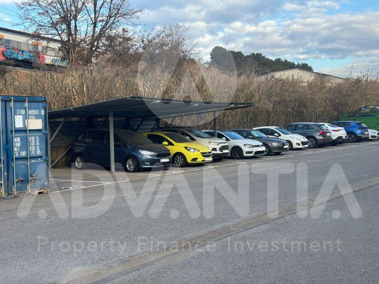 WhatsApp Image 2025-01-16 at 09.52.31 (4)