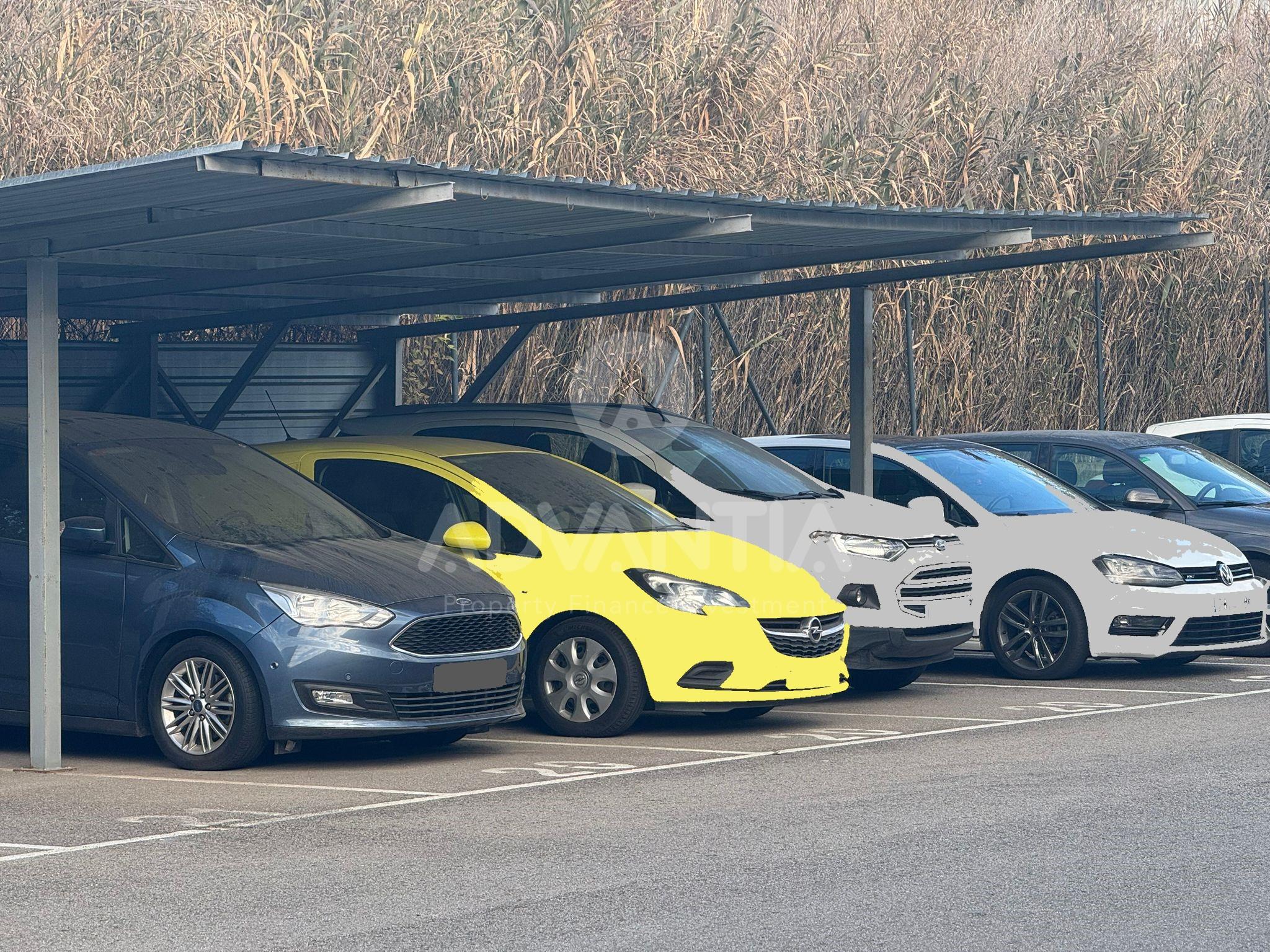 WhatsApp Image 2025-01-16 at 09.52.34