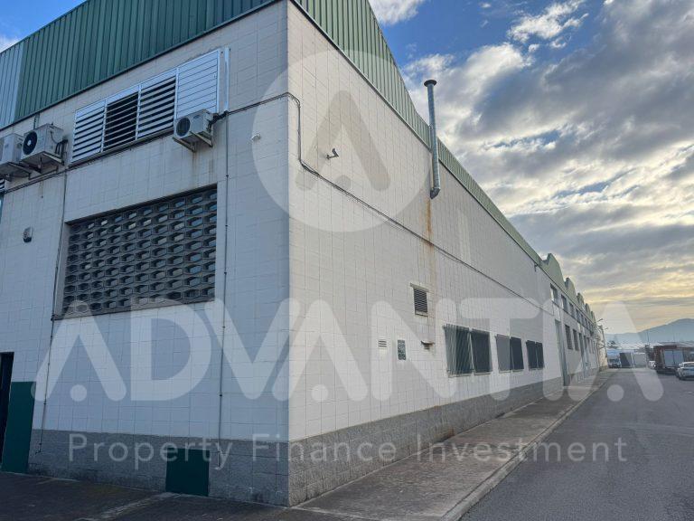 WhatsApp Image 2025-01-16 at 09.55.34