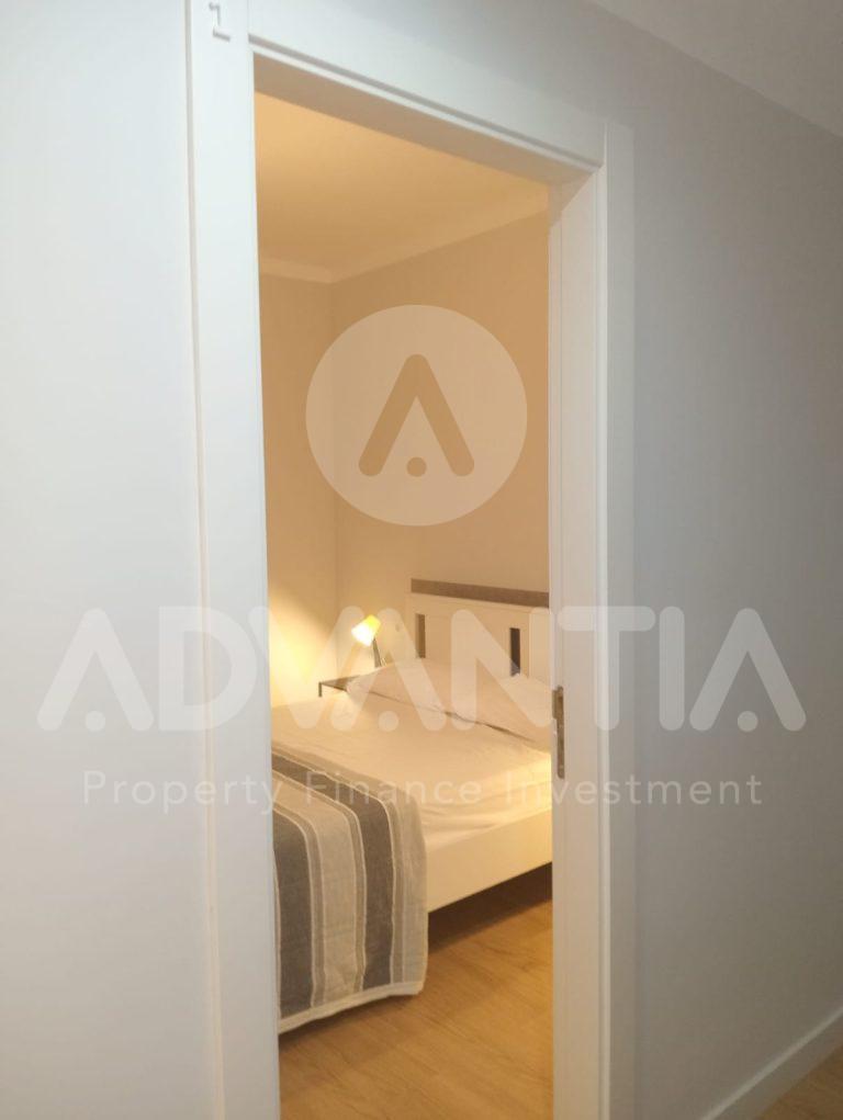 WhatsApp Image 2025-01-22 at 11.12.43